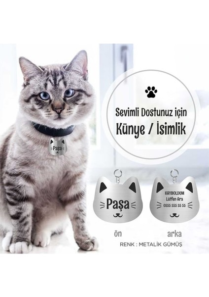 Kedilere Özel Metalik Gümüş Künye