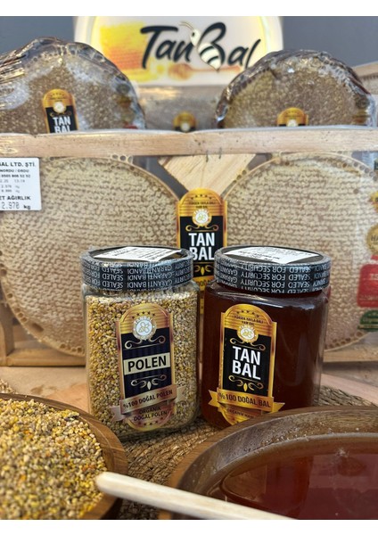 Organik Doğal Yüksek Yayla Balı 1kg Süzme Bal fiyatları