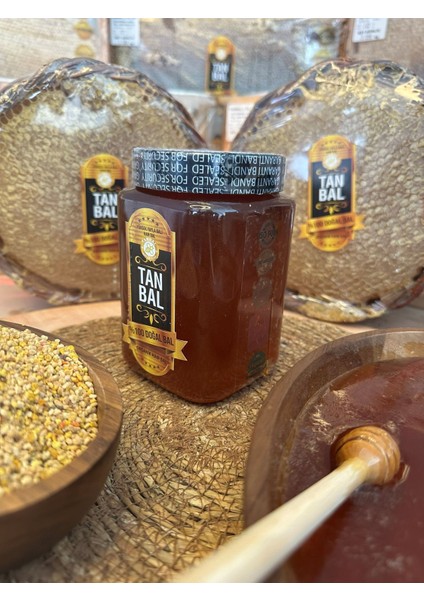 Organik Doğal Yüksek Yayla Balı 1kg Süzme Bal modelleri