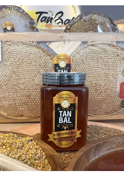 Organik Doğal Yüksek Yayla Balı 1kg Süzme Bal fırsatları