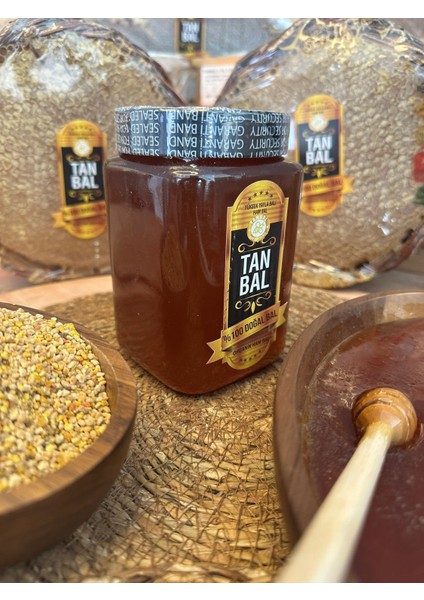 Organik Doğal Yüksek Yayla Balı 1kg Süzme Bal indirimleri