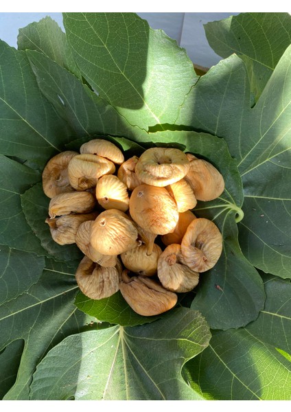 500 Grkuru Incir+ 500 gr Cennet Elması
