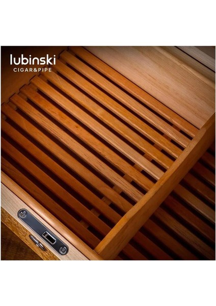 3D Antik Mısır İspanyol Sedir Humidor Puro Kutusu 40s modelleri