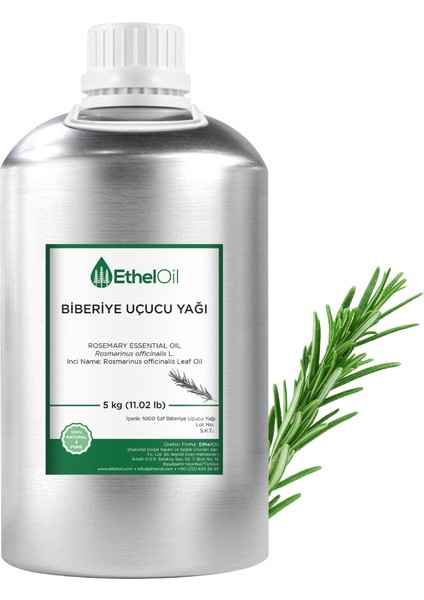 Biberiye Uçucu Yağı 5 kg