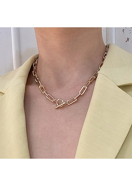 IPA0518-1 Iparam Kalın Zincir Geçiş Toka Kolye Karışık Bağlantılı Daire Kolye Kadınlar Için Minimalist Gerdanlık Kolye Sıcak Takı (Yurt Dışından) fiyatları