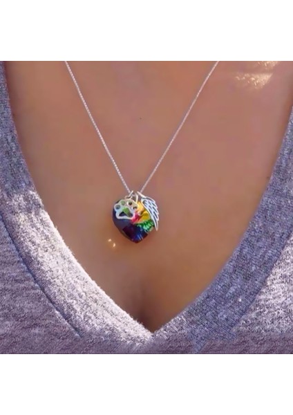 A Gökkuşağı Köprüsü Kristal Kolye Kolye Pet Kaybı Takı Anıtlar Hediyeler 124A (Yurt Dışından) fiyatları