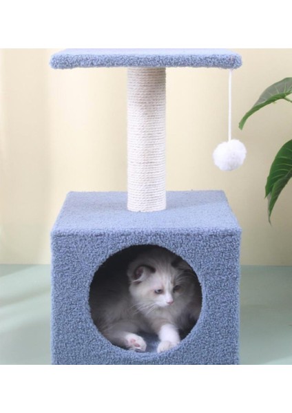 Stepli Yuvalı Kedi Tırmalaması