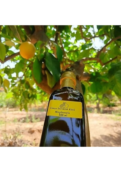 Limon Sarımsak Kürü Maydanozlu 500 ml