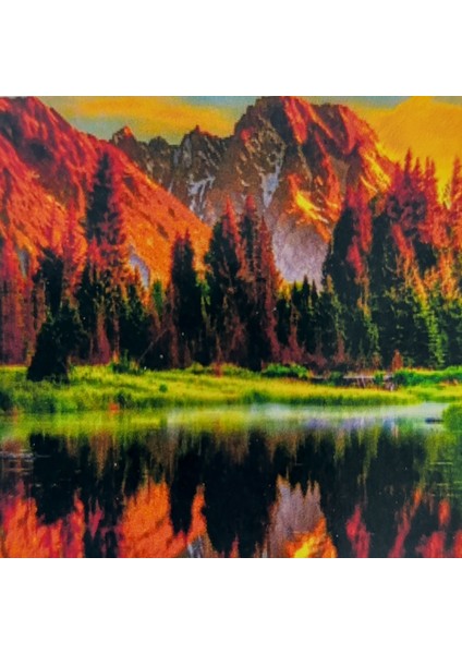 Elmas Boyama Boncuklu Goblen Mozaik Puzzle Kristal Taşlı Pano 40X30 Kit Tam Set