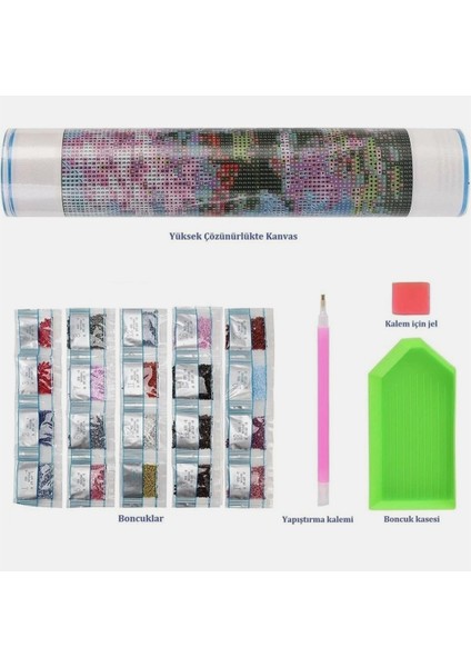 Elmas Boyama Boncuklu Goblen Mozaik Puzzle Kristal Taşlı Pano 40X30 Kit Tam Set