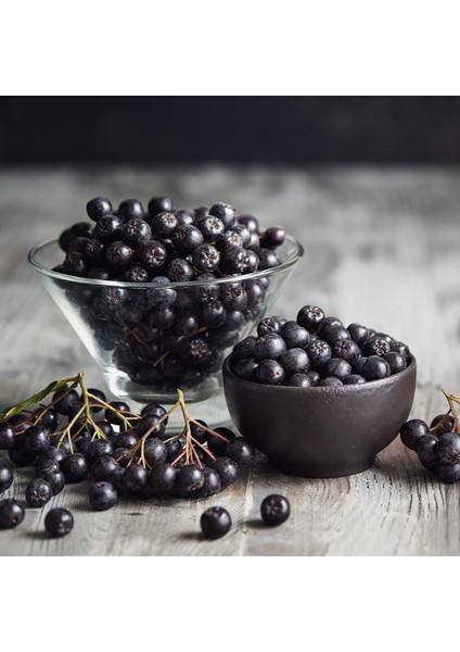 Aronya Fidanı 3-4 Yaş 80-100 cm – 2 Adet Canlı Meyve Fidanı indirimleri