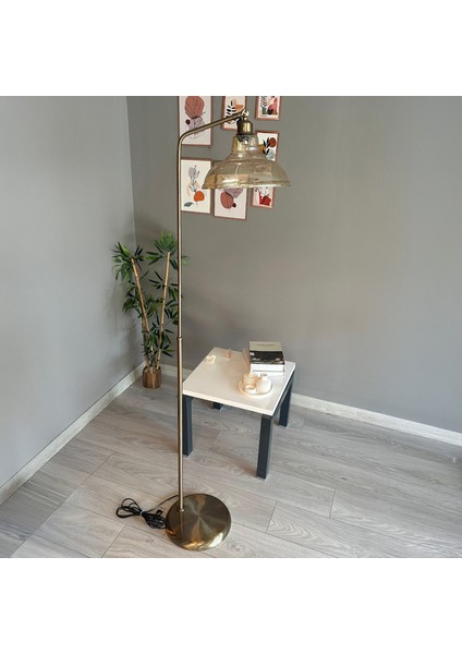 Bal Rengi Cam Lambader Modern Dekoratif Metal Oturma Odası Çalışma Odası Zemin Lambası