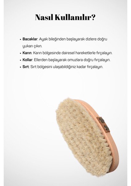 Doğal At Kılı Fırça fırsatları