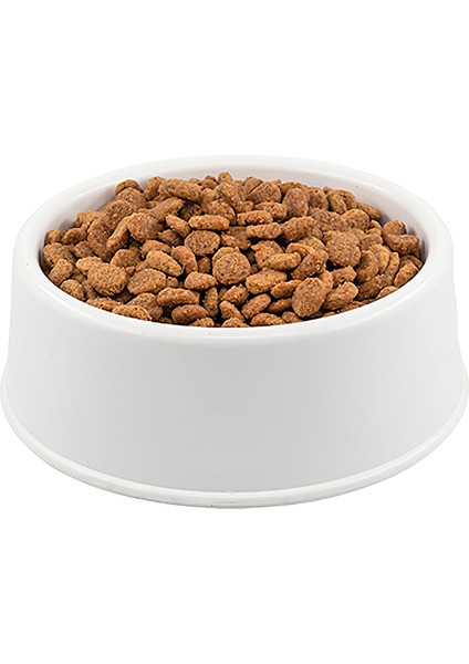 Hypoallergenic Somonlu Küçük Irk Köpek Maması 1 kg Açık