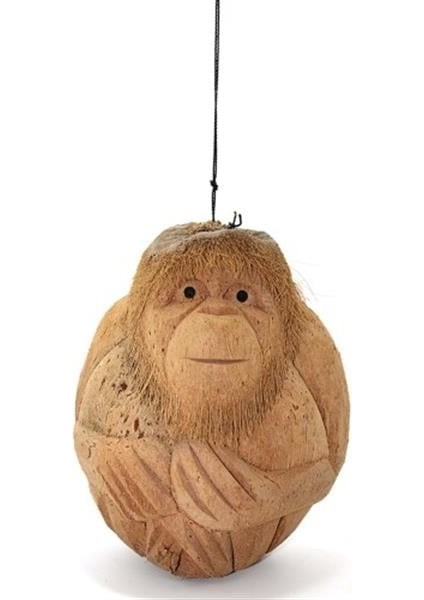 Coconat Maymun Büstü Model 1