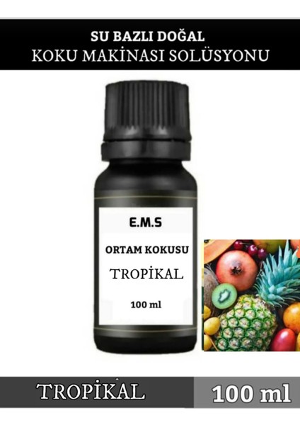 Tropikal Küre Koku Makinası Buhurdanlık Kokusu