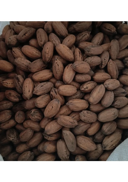 Yerli 1 kg Pikan Cevizi modelleri