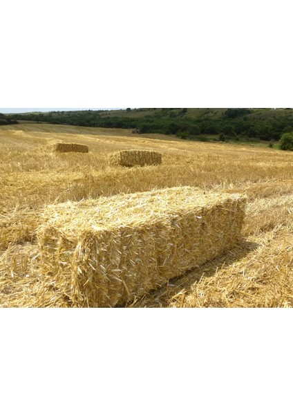 REDMOON Kemirgen Arpa Buğday Samanı 500 gr modelleri