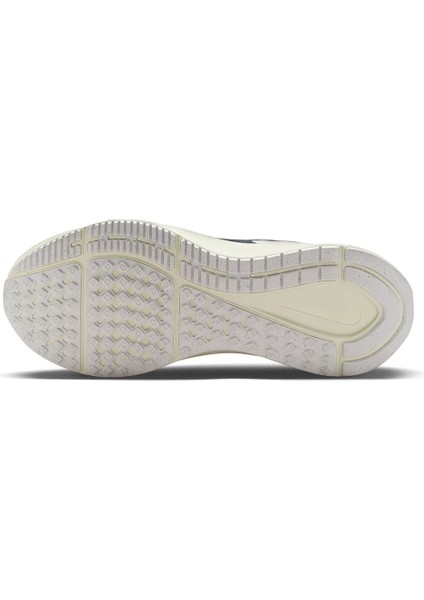 Nike Air Zoom Structure 25 Erkek Koşu AYAKKABISI-DJ7883-009