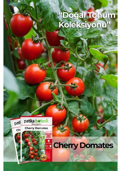 100 Adet Cherry Domates Tohumu fiyatları