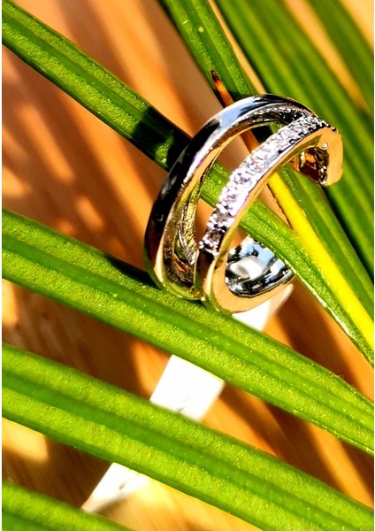 Lüks Çelik Gümüş Renk Kıkırdak Küpe fiyatları