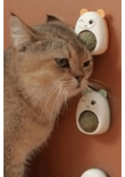 Büro Ev Evcil Hayvanı Için Ayıcıklı Tipi Kedi Otu Yalama Topu