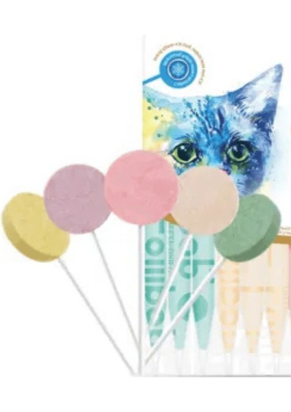 Büro Ev Evcil Hayvanı İçin 15ADET Kedi Ödülü Lolipop Seti
