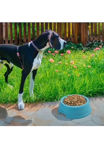 Büro Ev Evcil Hayvanı İçin 250cm Dayanıklı Iri Kedi Köpek Mama Kabı