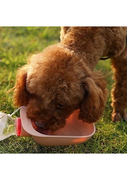 Büro Ev Evcil Hayvanı İçin Taşınır Plastik Pet Su Şişe Bağlantılı Kap
