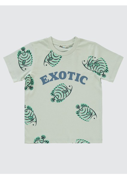 Erkek Çocuk Takım 2-5 Yaş Açık Gri modelleri