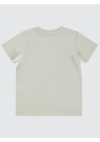 Erkek Çocuk Tişört 2-5 Yaş Açık Gri fiyatları