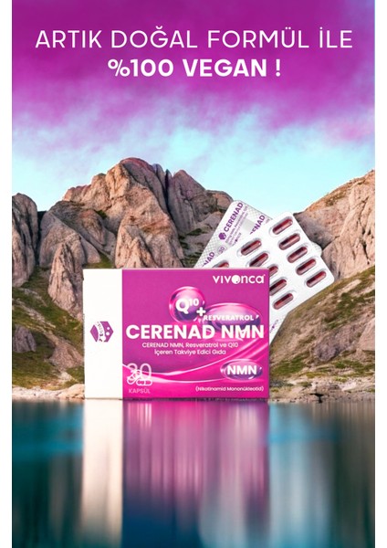 Nmn 3'lü, Lipozomal Nmn, COQ10, Resveratrol, Çinko ve C Vitamini İçeren Takviye Edici Gıda
