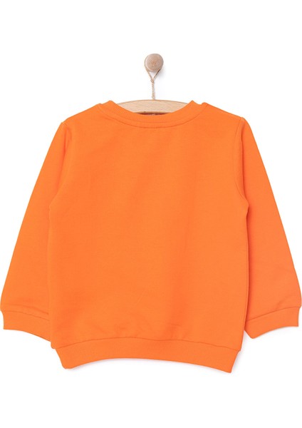 Erkek Sweatshirt Erkek Bebek fiyatları