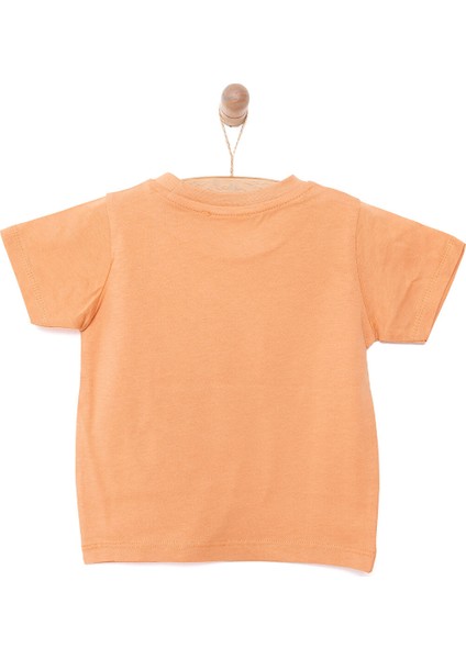 Basic Koala Baskılı Tshirt Erkek Bebek