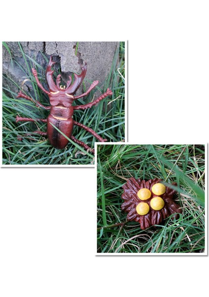 Geyik Böceği Hayvan Yaşam Döngüsü, Hayvan Büyüme Döngüsü Yaşam Döngüsü Modeli, Böcek Büyüme Döngüsü Modeli Eğitici Çocuk Oyuncakları G (Yurt Dışından) modelleri