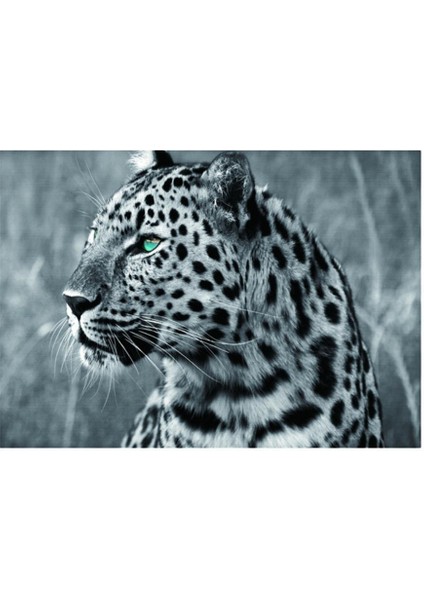 Kristal Rhinestone Resim Ev Duvar Dekorasyon Leopar (Yurt Dışından)