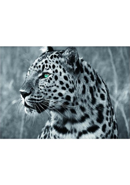Kristal Rhinestone Resim Ev Duvar Dekorasyon Leopar (Yurt Dışından) fırsatları