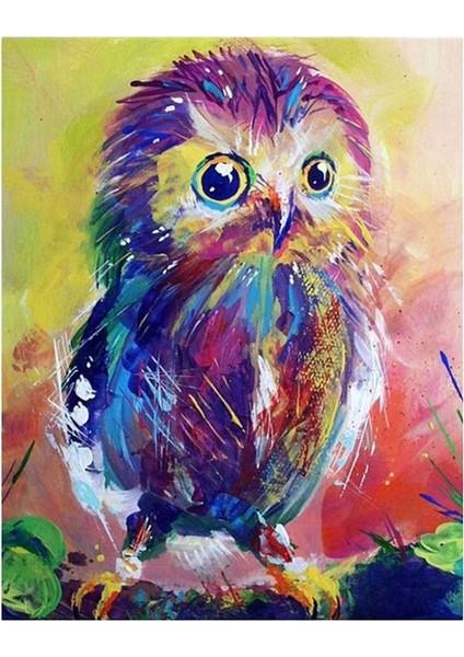 Elmas Boyama Rhinestone Resimleri Baykuş 1 (Yurt Dışından)