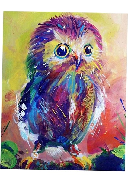 Elmas Boyama Rhinestone Resimleri Baykuş 1 (Yurt Dışından) modelleri