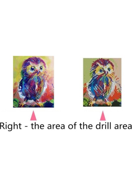 Elmas Boyama Rhinestone Resimleri Baykuş 1 (Yurt Dışından) fırsatları