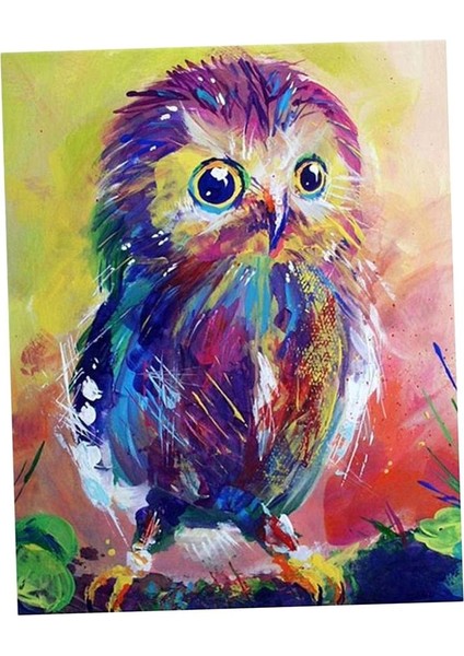 Elmas Boyama Rhinestone Resimleri Baykuş 1 (Yurt Dışından) indirimleri