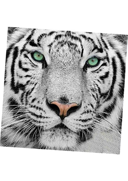 Tam Matkap Beyaz Tiger Diy Pırlanta Boyama Numara Kiti Ev Dekoru 30X30CM (Yurt Dışından)