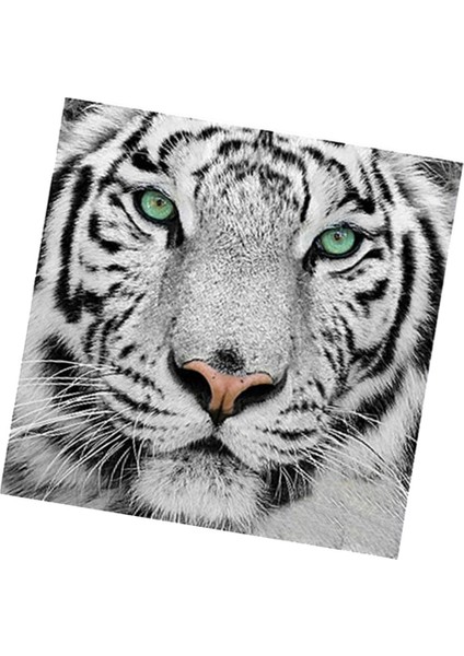 Tam Matkap Beyaz Tiger Diy Pırlanta Boyama Numara Kiti Ev Dekoru 30X30CM (Yurt Dışından) modelleri
