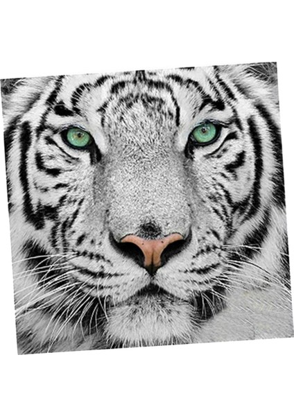 Tam Matkap Beyaz Tiger Diy Pırlanta Boyama Numara Kiti Ev Dekoru 30X30CM (Yurt Dışından) fırsatları