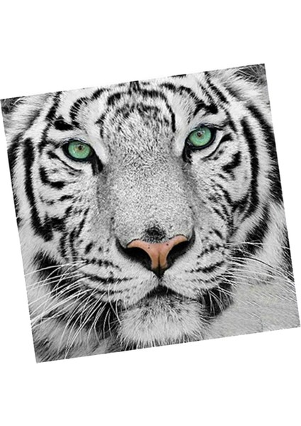 Tam Matkap Beyaz Tiger Diy Pırlanta Boyama Numara Kiti Ev Dekoru 30X30CM (Yurt Dışından) indirimleri