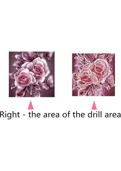 5d Diy Elmas Boyama Tam Matkap Gül Resimleri Diy Ev Dekor Pembe (Yurt Dışından)