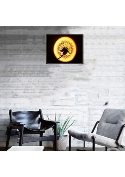 Tam Matkap Rhinestone Diamond Pictures Moonlight (Yurt Dışından) fiyatları