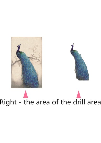 Peacock Diy 5d Elmas Boyama Nakış Çapraz Dikiş Kiti Ev Dekoru B (Yurt Dışından) modelleri
