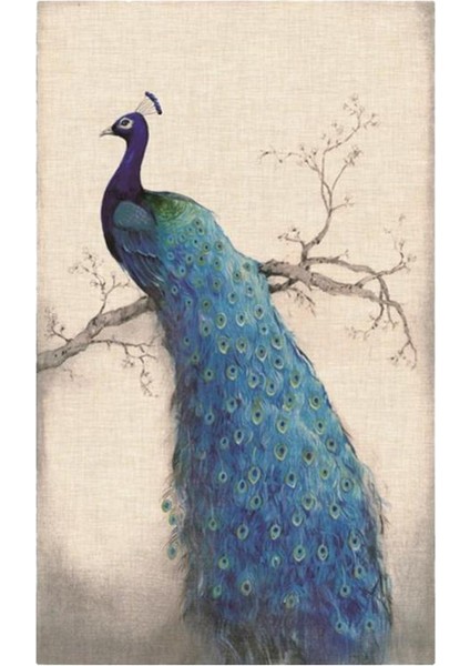Peacock Diy 5d Elmas Boyama Nakış Çapraz Dikiş Kiti Ev Dekoru B (Yurt Dışından) indirimleri