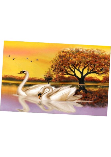 Yetişkinler Numara Kitlerine Göre Boya Swan Lover (Yurt Dışından)
